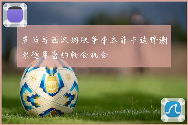 罗马与西汉姆联争夺本菲卡边锋谢尔德鲁普的转会机会