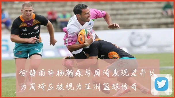 徐静雨评杨瀚森与周琦表现差异认为周琦应被视为亚洲篮球传奇